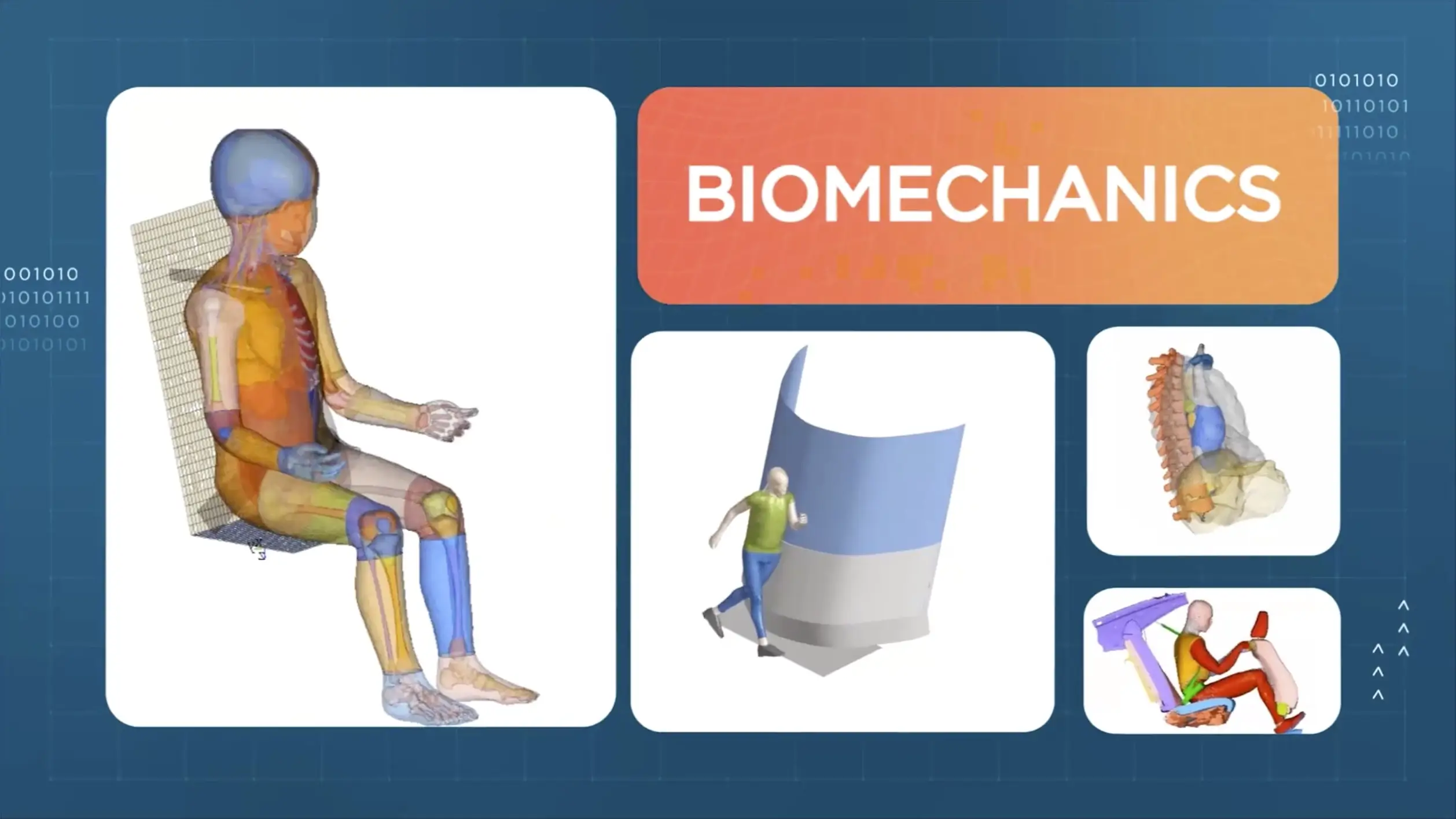 SmartCAE - Altair Hypermesh - Strumenti validati per la modellazione del corpo umano (HBM)